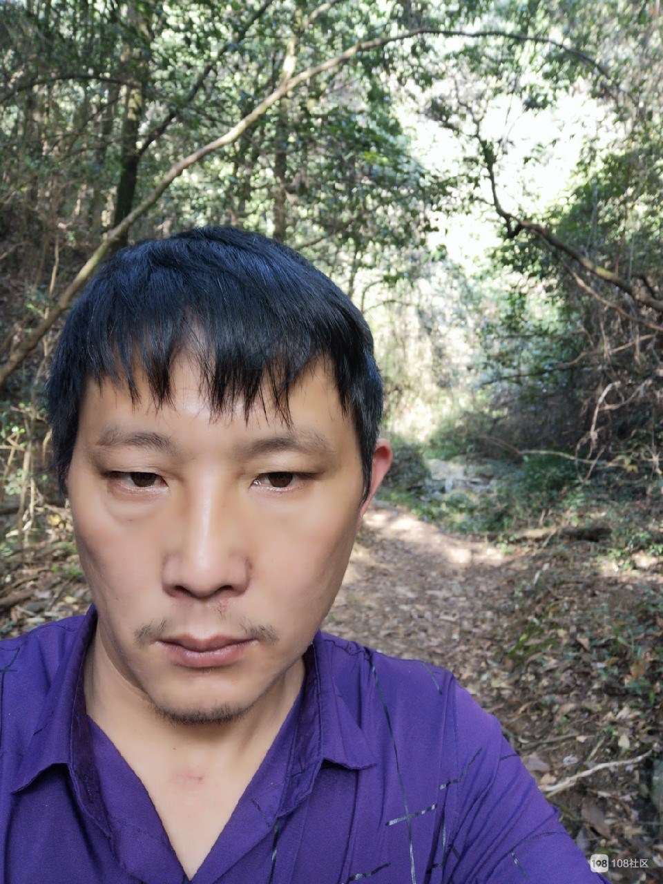 大山沟小琴小英小丹小道山大山沟里的故事，小琴、小英和小丹的小道