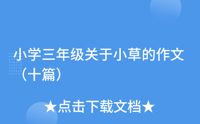 小草回家永不迷路2024ty66小草回家永不迷路2024