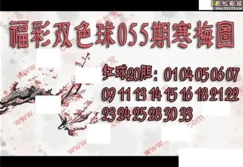 55125中国彩55125中国彩，绚丽多彩的魅力-第3张图片