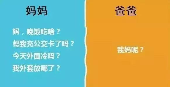 妈妈怀了我的种，爸爸该叫什么呢？