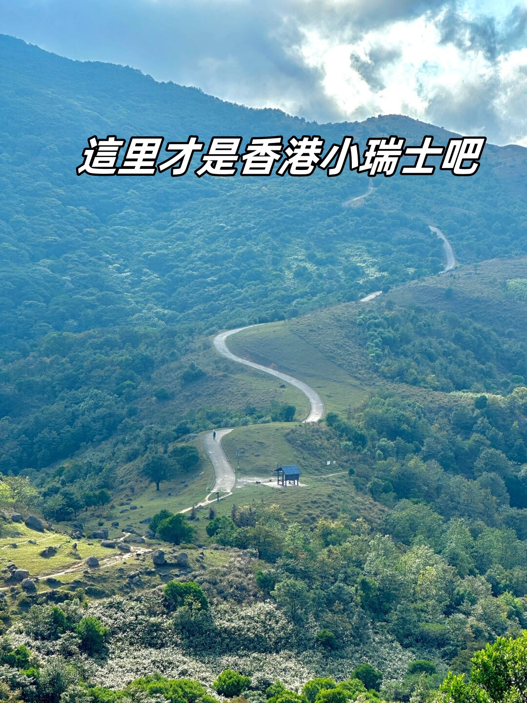 香港最真正最准资料香港最真正最准资料，探寻真相的黄金指南-第2张图片