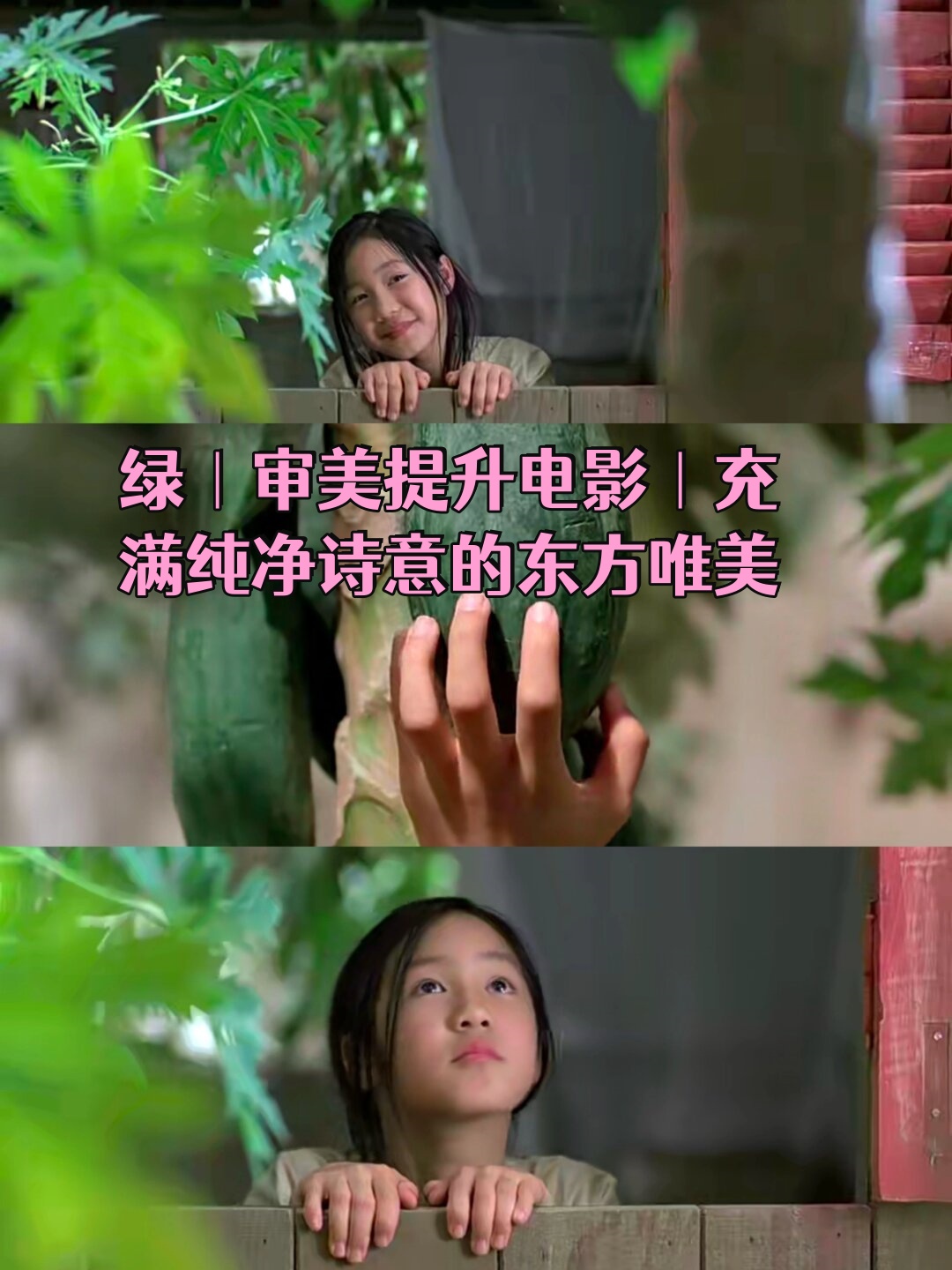 丁香花电影免费高清在线完整版丁香花电影，情感与成长的交织之旅-第3张图片