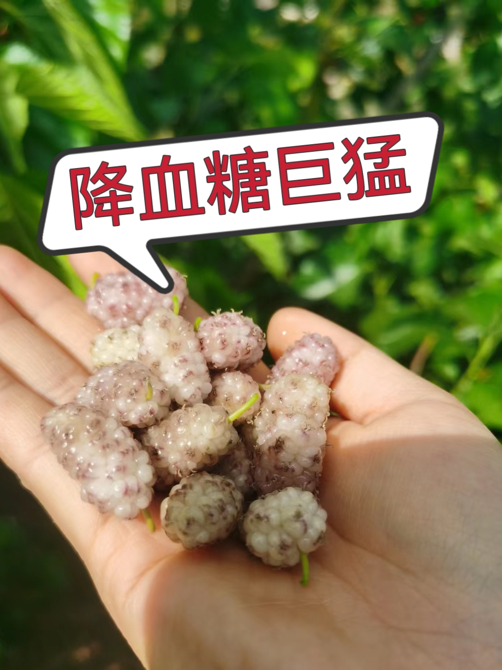草莓香蕉榴莲丝瓜秋葵绿巨人a草莓香蕉榴莲丝瓜秋葵绿巨人-第2张图片