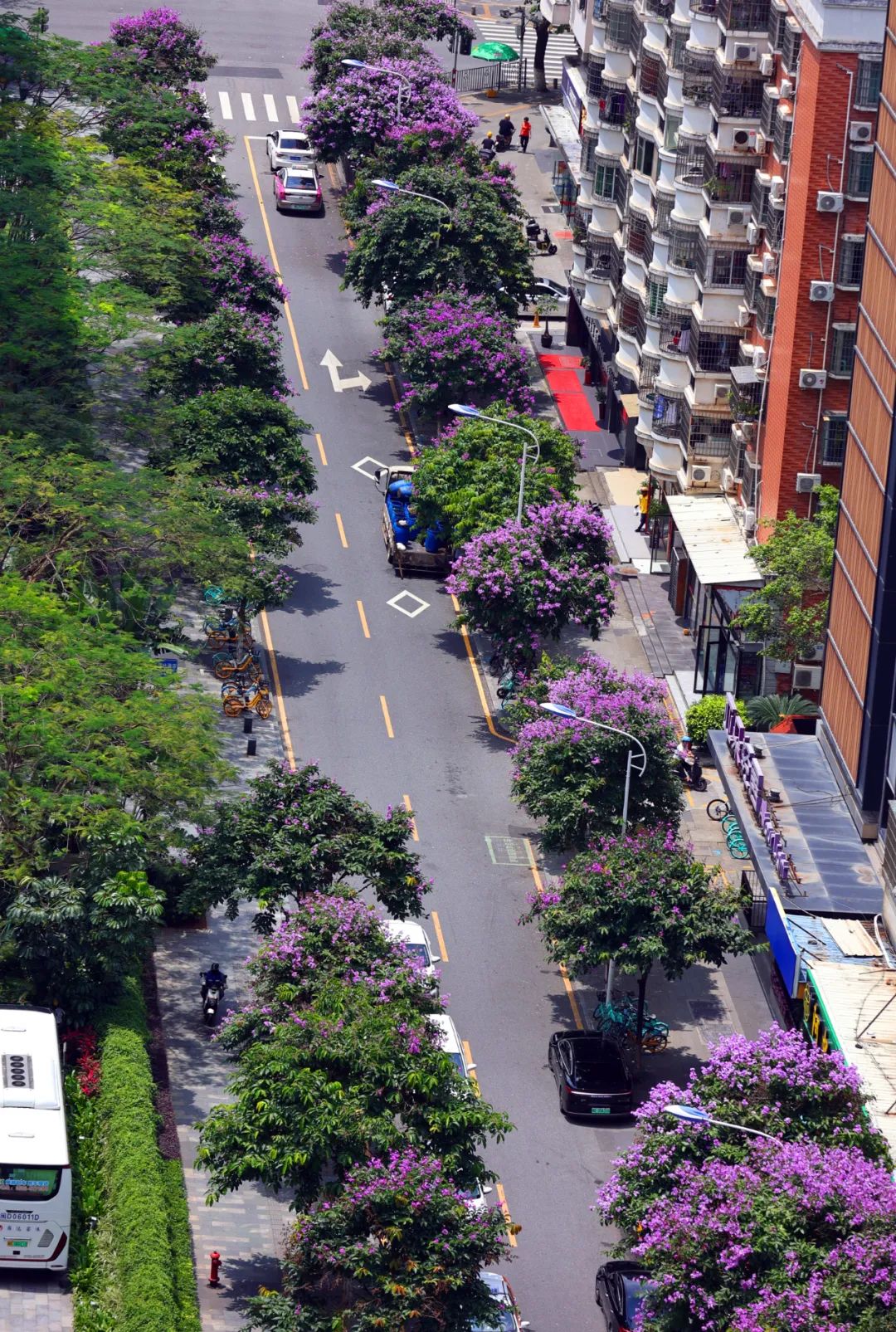 金榜路金榜路，辉煌之路