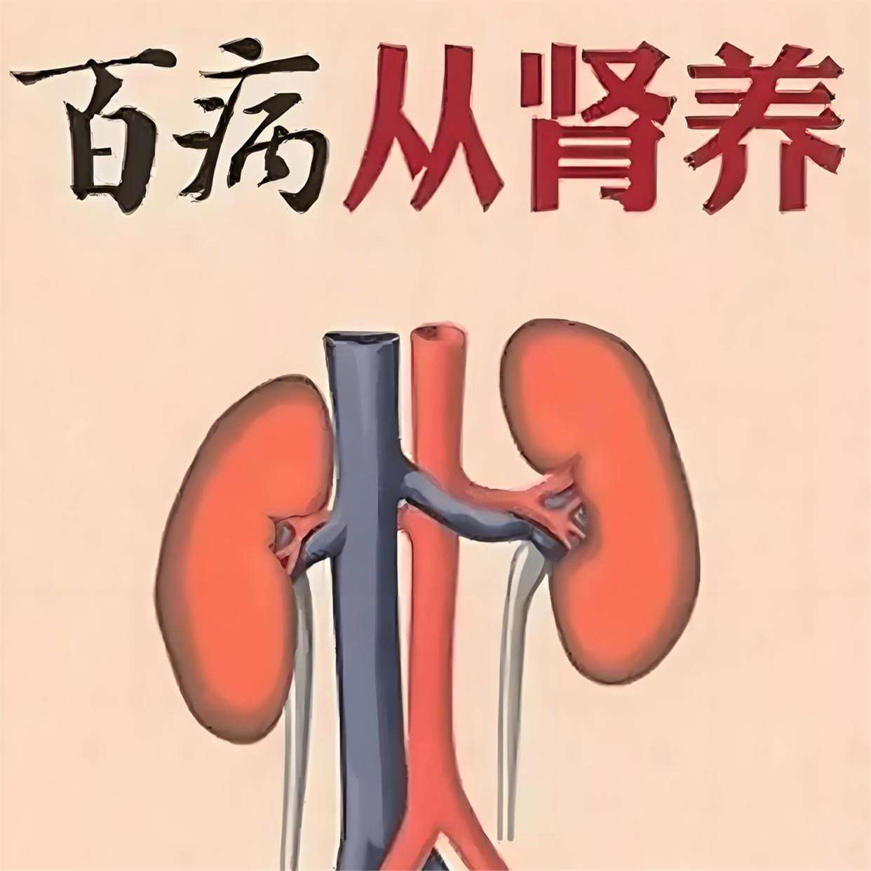 黑料不打烊肾虚十八连黑料不打烊，肾虚十八连