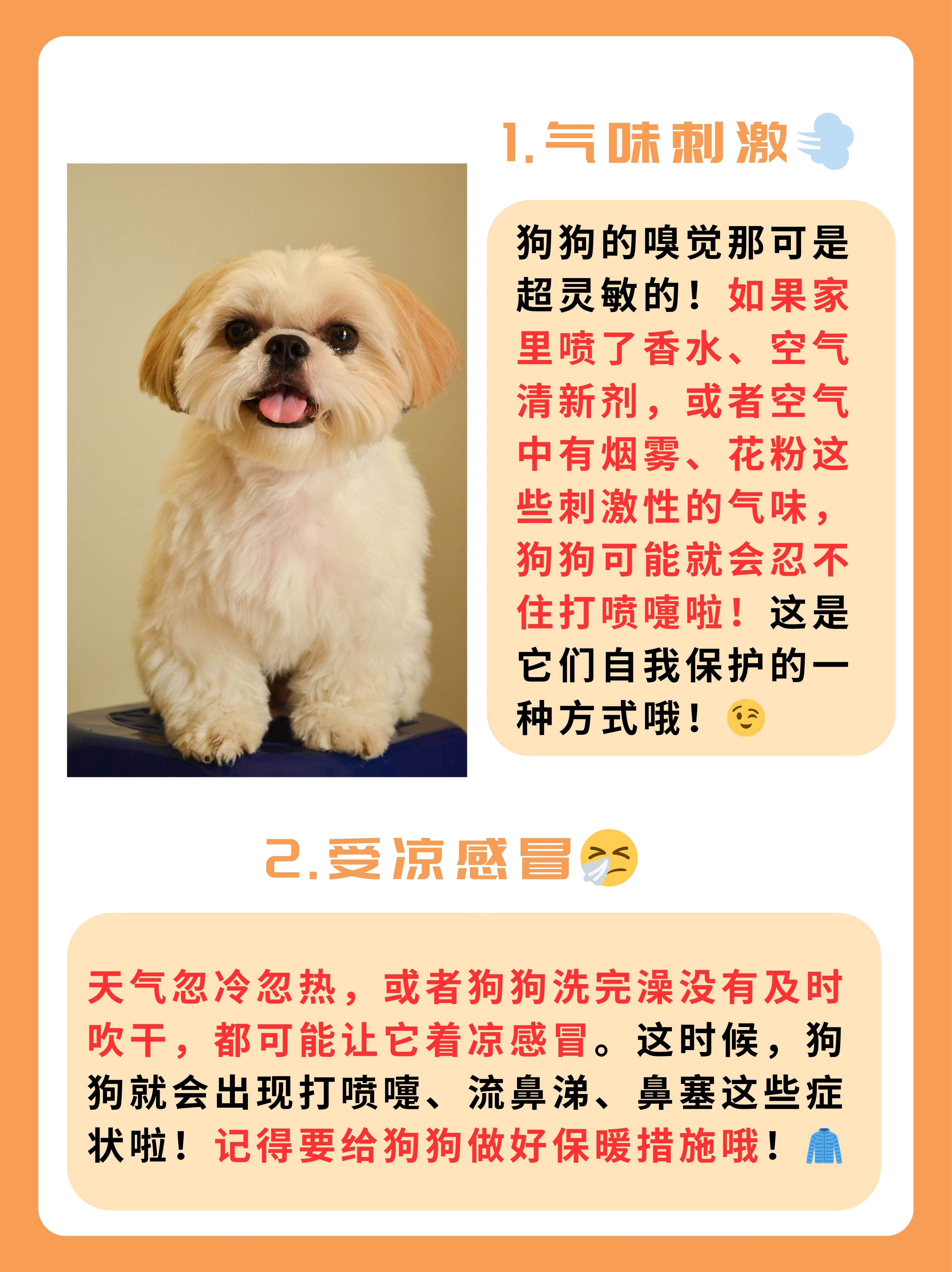 打喷嚏闭眼睛的原理是什么打喷嚏与闭眼睛的原理