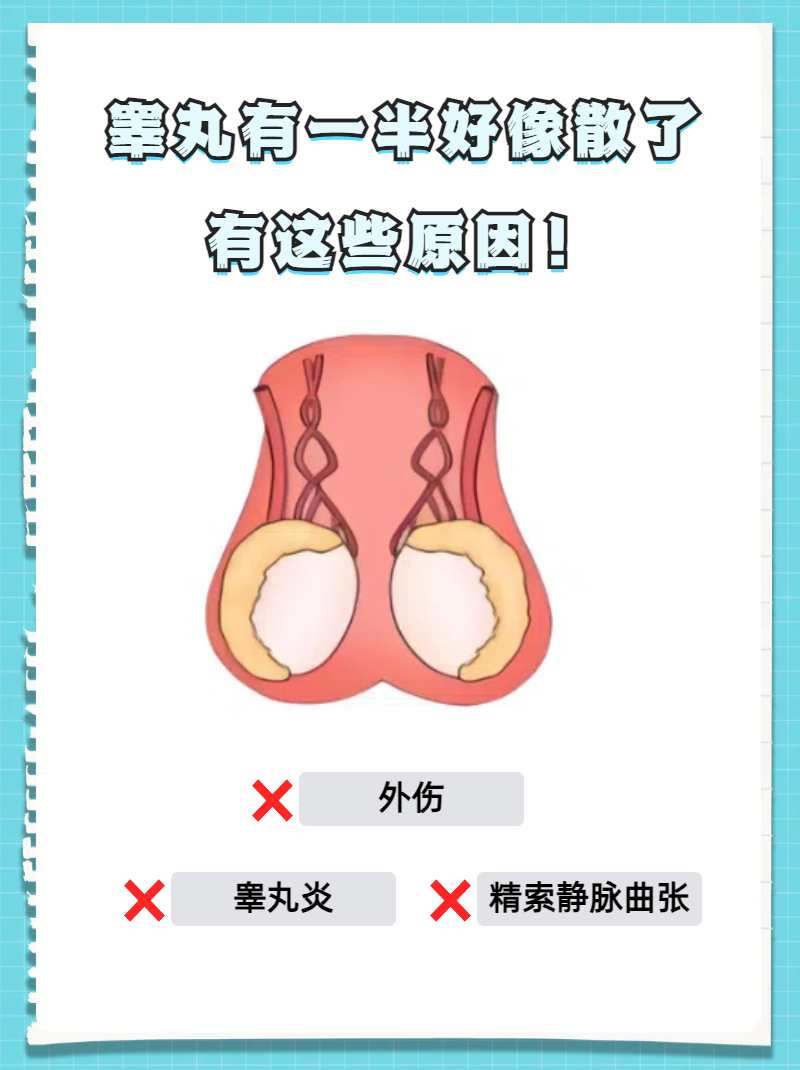 睾丸高清图片100张裸身男人露j图片揭秘