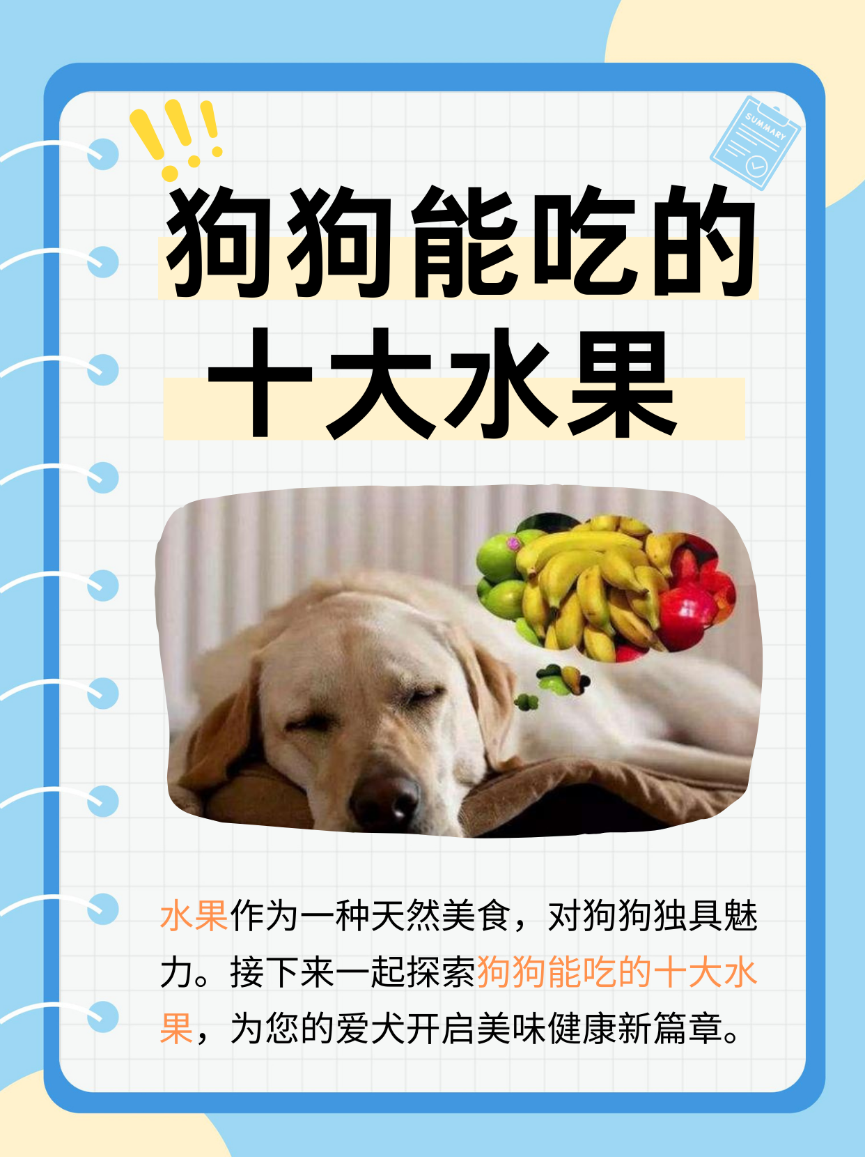 狗茎，探索其独特魅力与价值