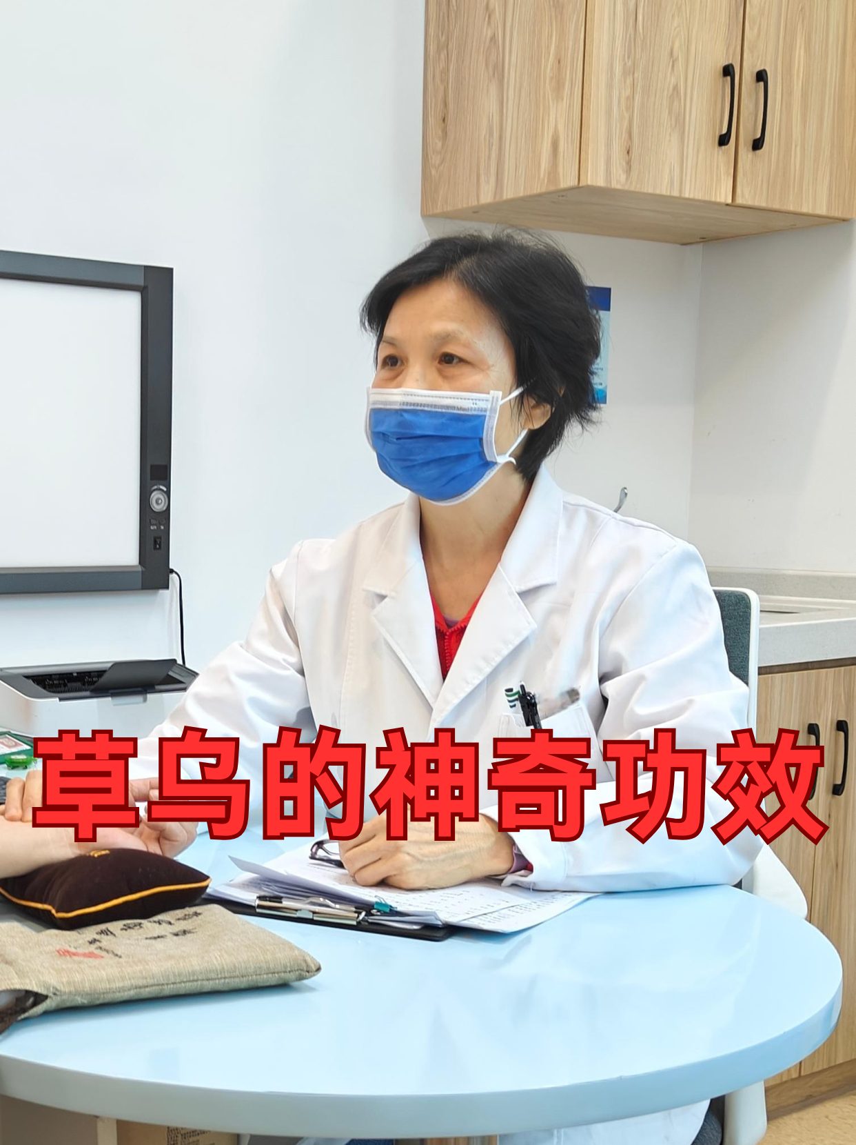 小草乌的魅力与故事
