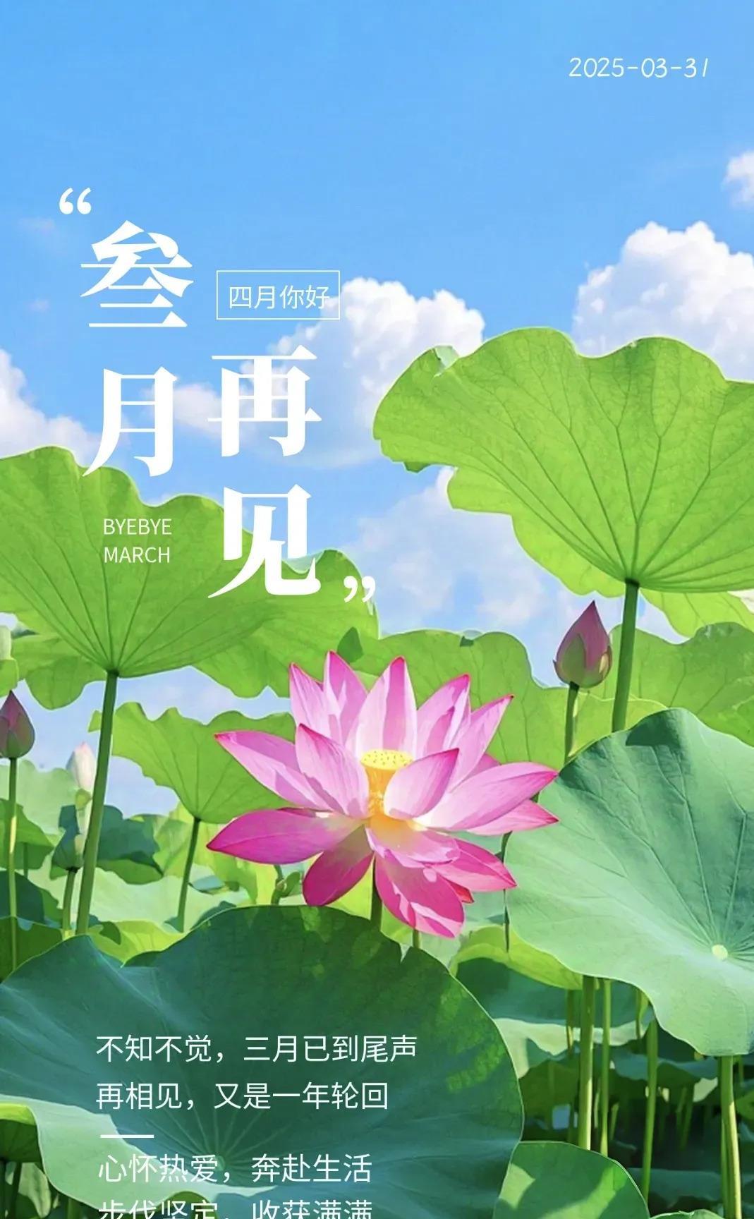 春日之约）-第2张图片