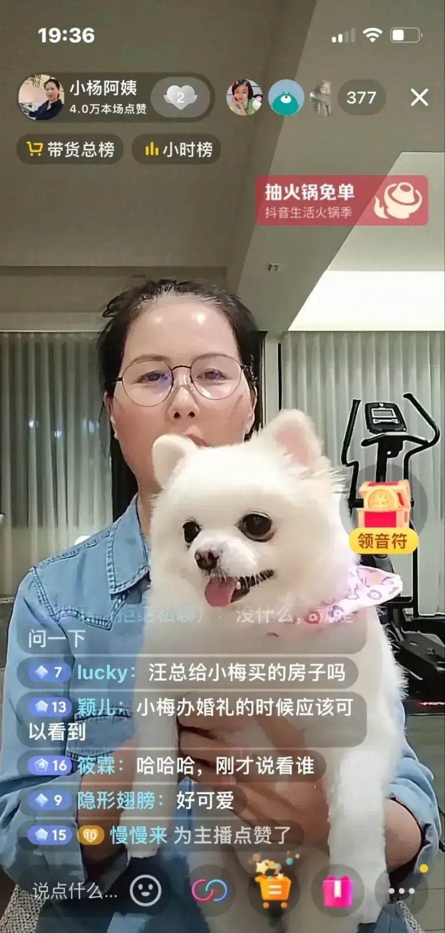 老阿姨是哪个主播老阿姨才是最有V味的直播时代新宠