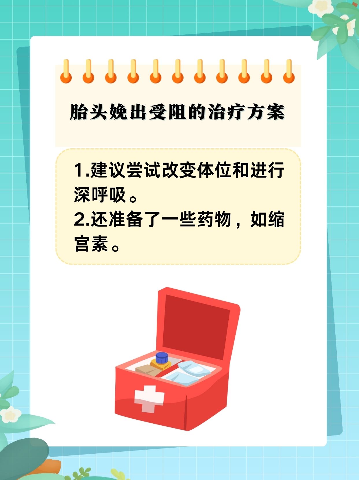 ALPHA孕囊顶开 分娩ALPHA孕囊顶开，分娩之路启程-第1张图片