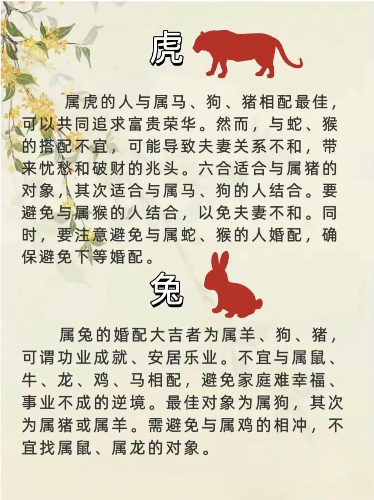97年属牛女动婚时间揭秘