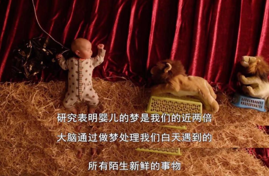 日本无吗无卡V二区，探索便捷生活的秘密-第2张图片