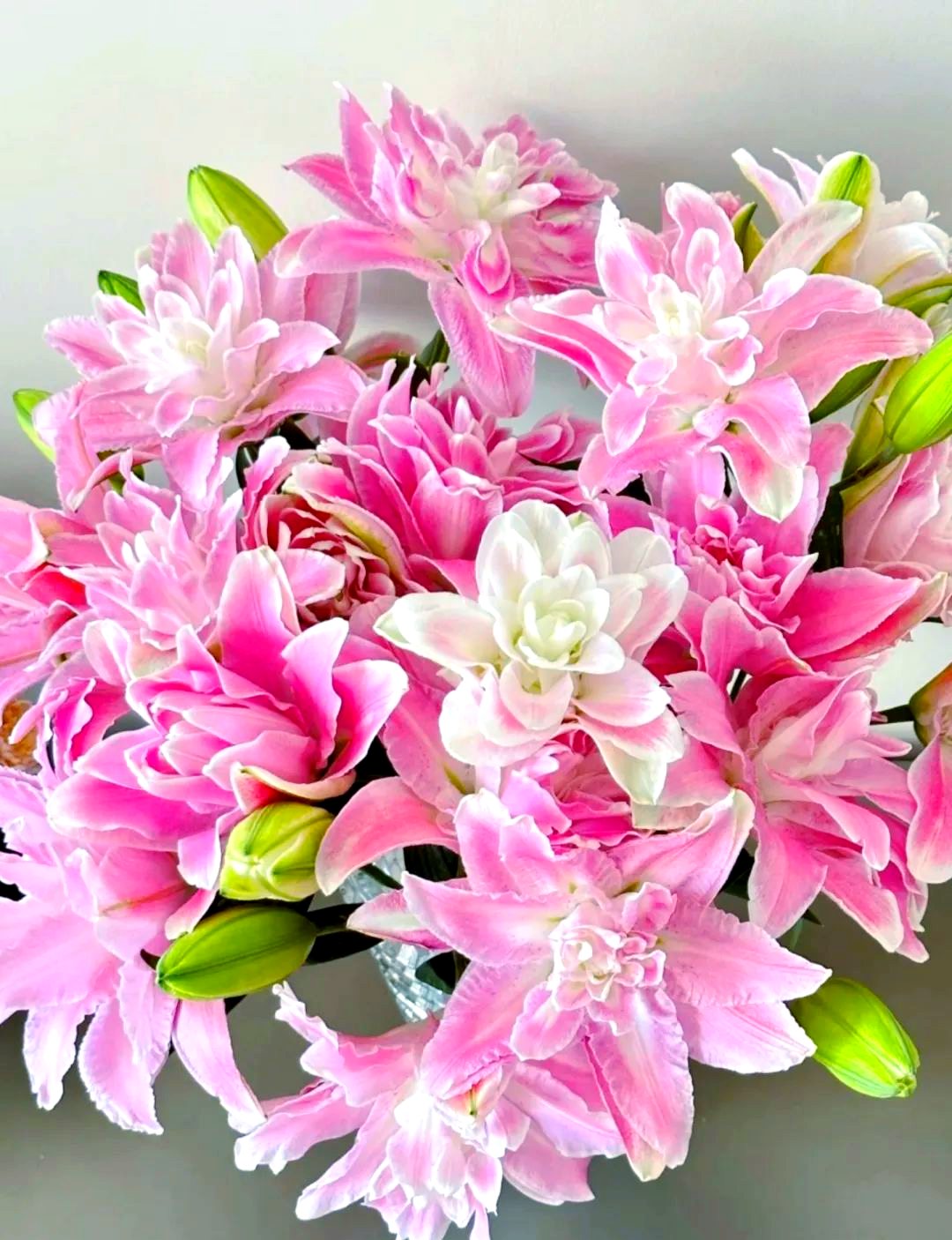 百合心水图库，探寻艺术之美
