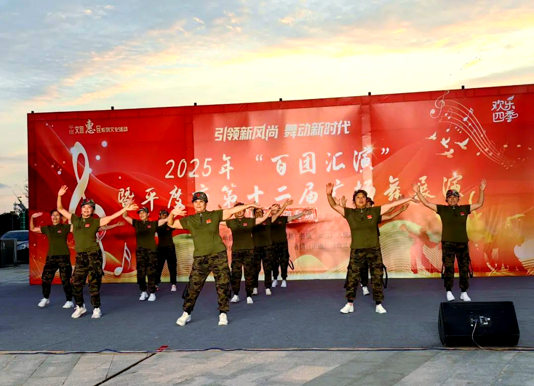 最新广场舞2013，活力四溢的舞蹈盛宴-第2张图片