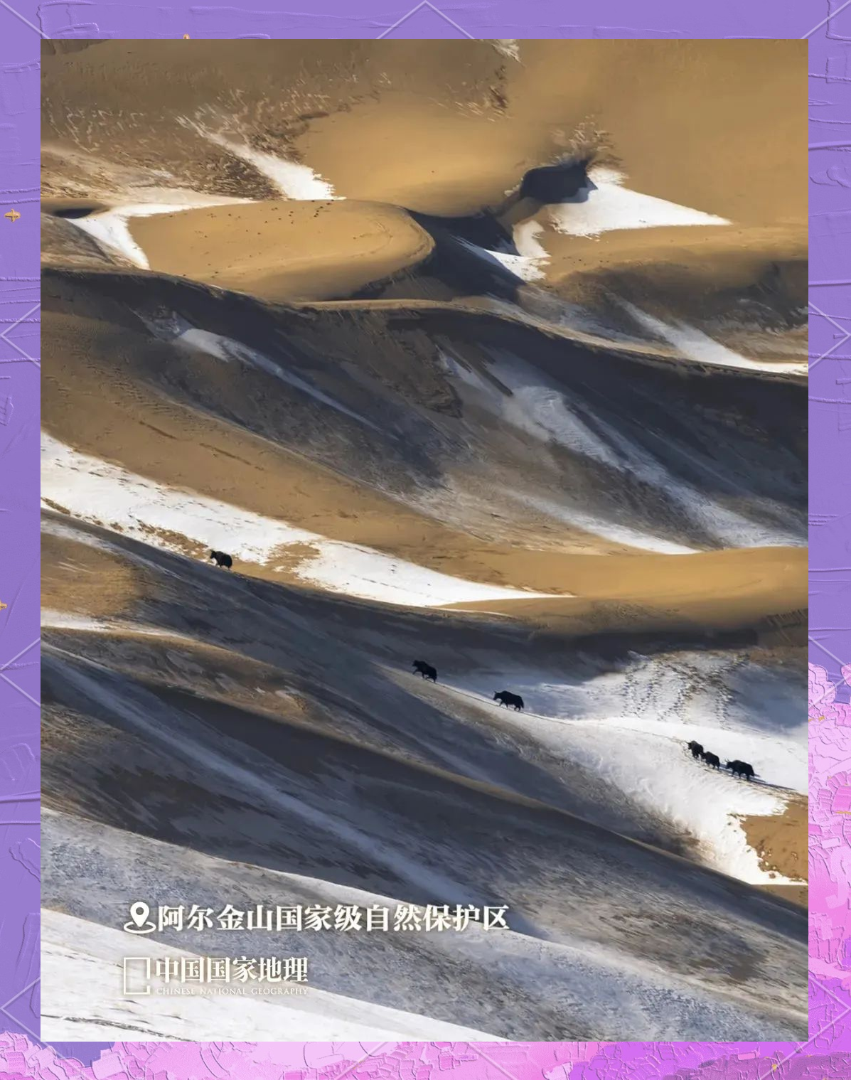 欧美无人区码卡二卡3卡，探险与冒险的神秘之地