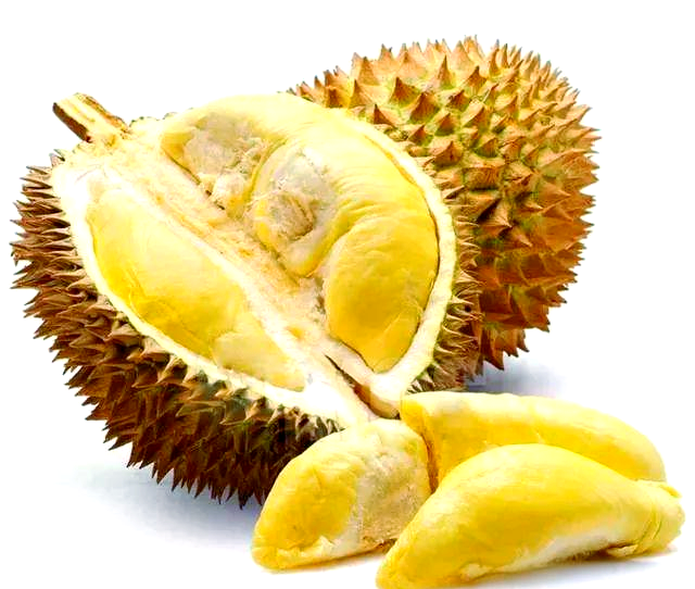 榴莲视频下载免费播放器榴莲视频免费观看与下载指南