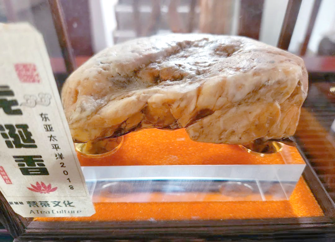 龙涎香，源于神秘海洋生物