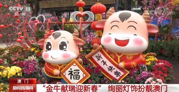 澳门金牛网官方网站下载澳门金牛网官方网站介绍-第3张图片