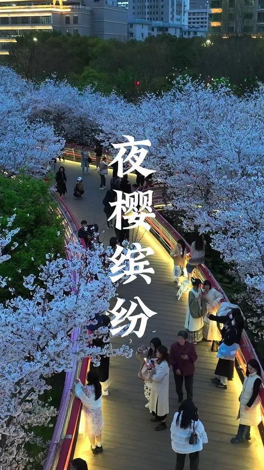 夜之城的男人们小说免费全文在线阅读无弹窗下载夜之城，城市的夜晚魅力-第1张图片