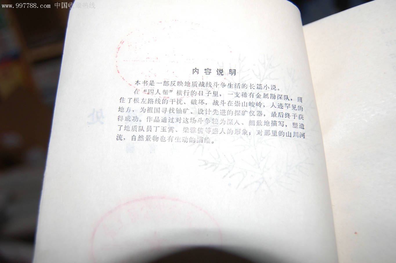 与子乱肉小说目录伦长篇与子乱肉，长篇小说的魅力与挑战-第3张图片