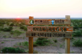 有眼不识泰山的典故与蚂蚁森林