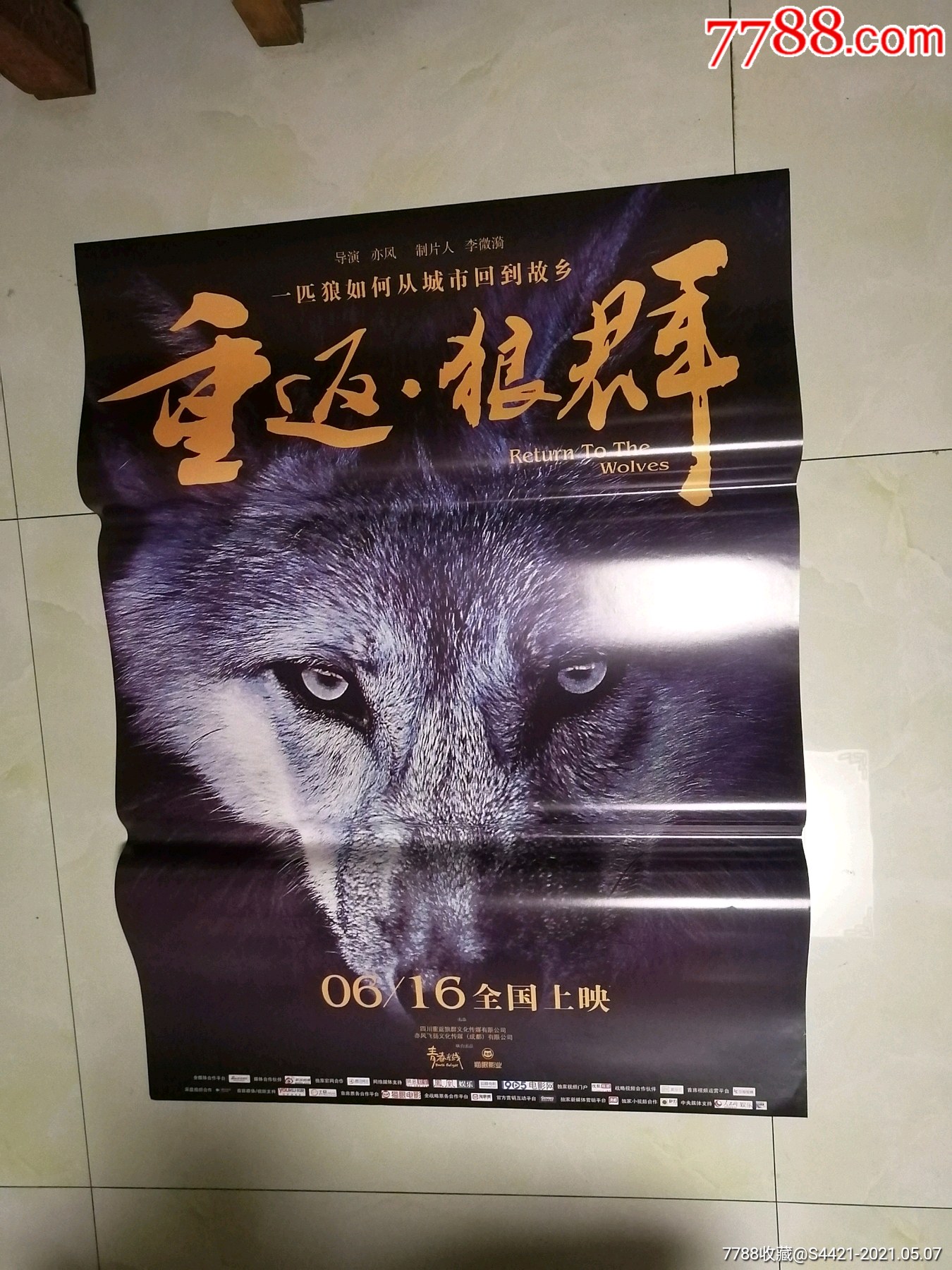 狼群影院官网在线观看