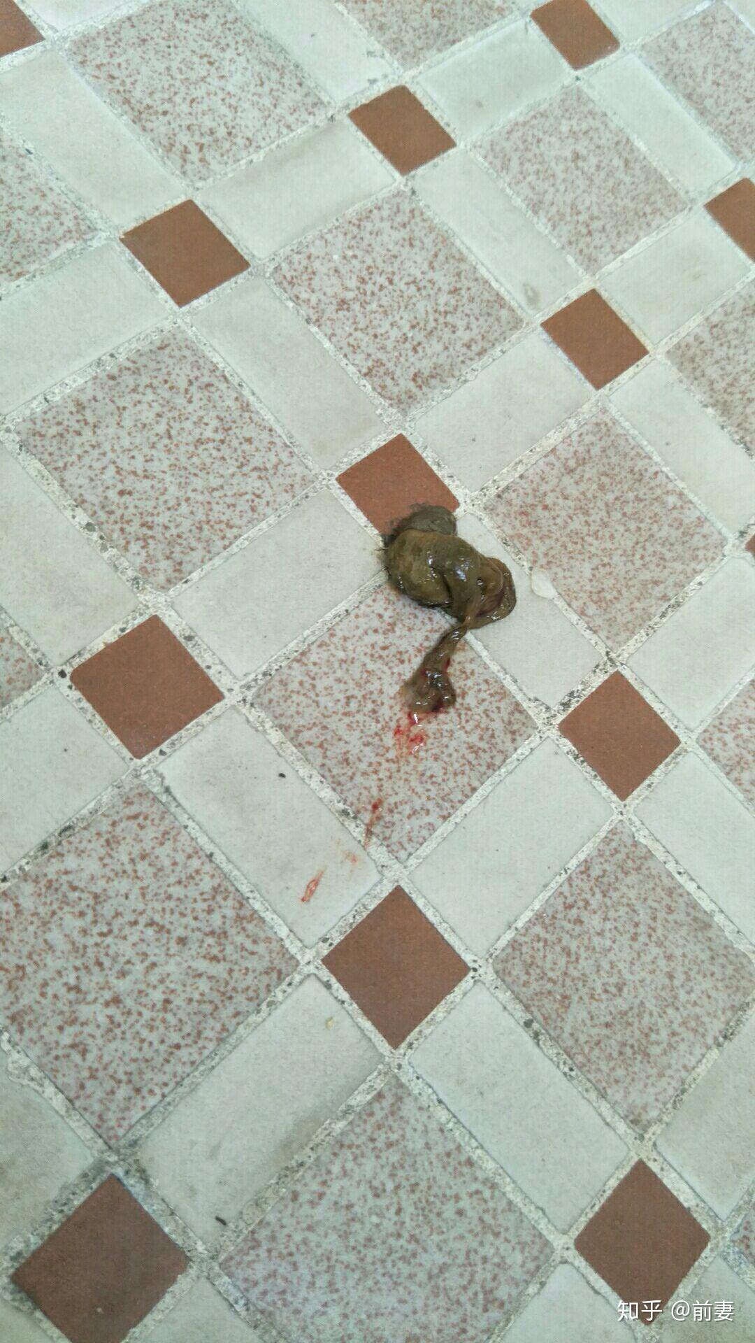 注射器往菊花里推水