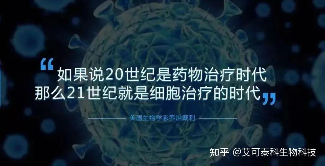 日本无人区码一二三区别探讨