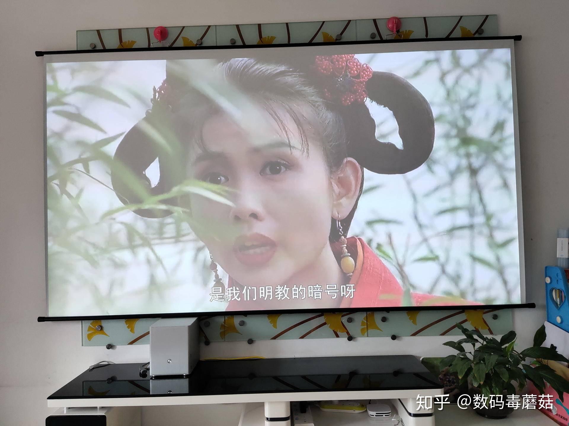 蘑菇观影蘑菇观影-第3张图片