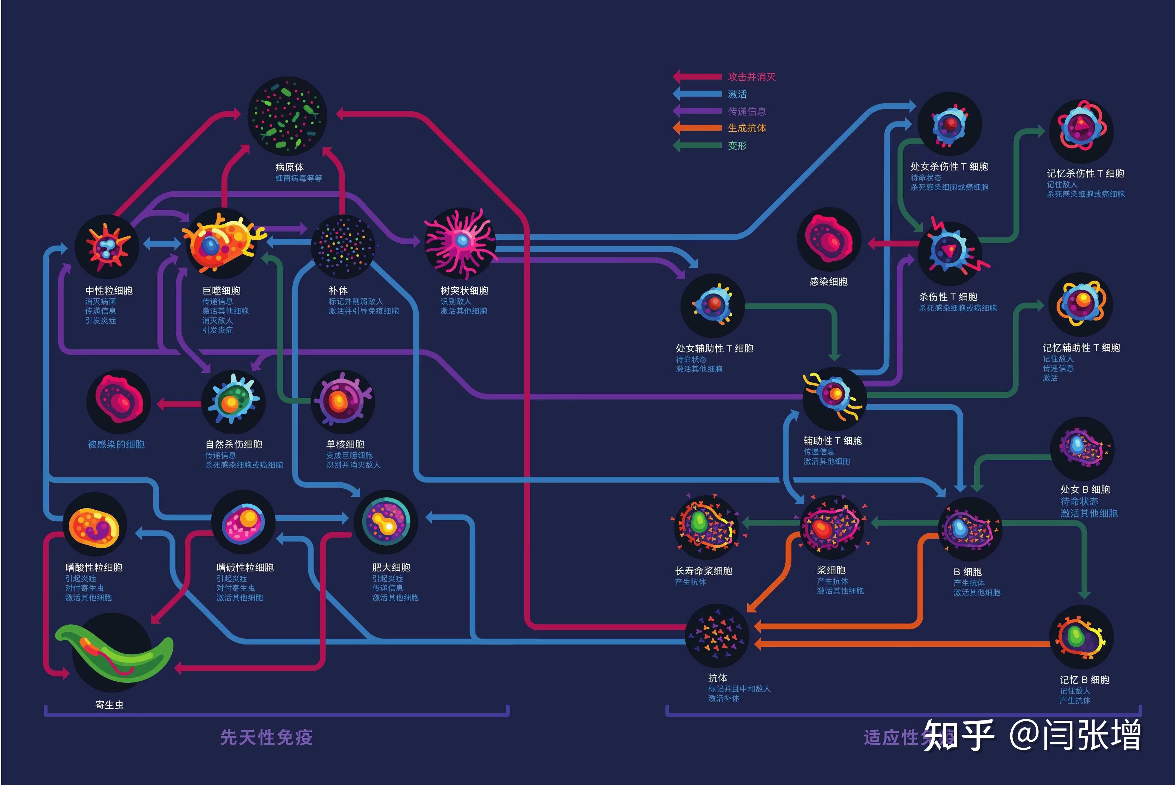 师兄1V4，热血传奇的战斗之旅