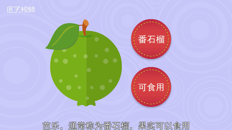 芭乐app下载网址进入18免费站长统计芭乐APP下载网址及进入18免费站长统计