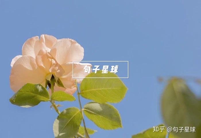 19-May-20五月初旬的探索之旅-第2张图片