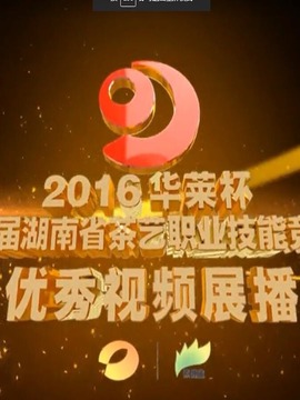 色猫直播，直播界的璀璨明珠-第3张图片