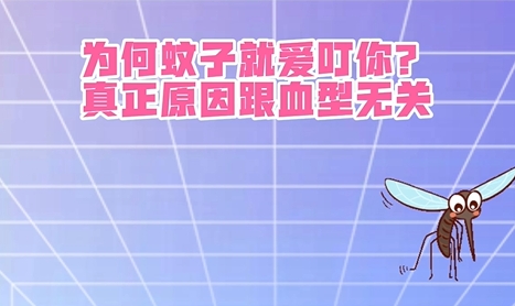 蚊子是否有偏爱的血型？-第2张图片