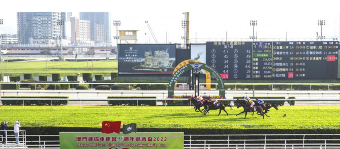 澳门赛马会澳门赛马，魅力四溢的赛马盛会