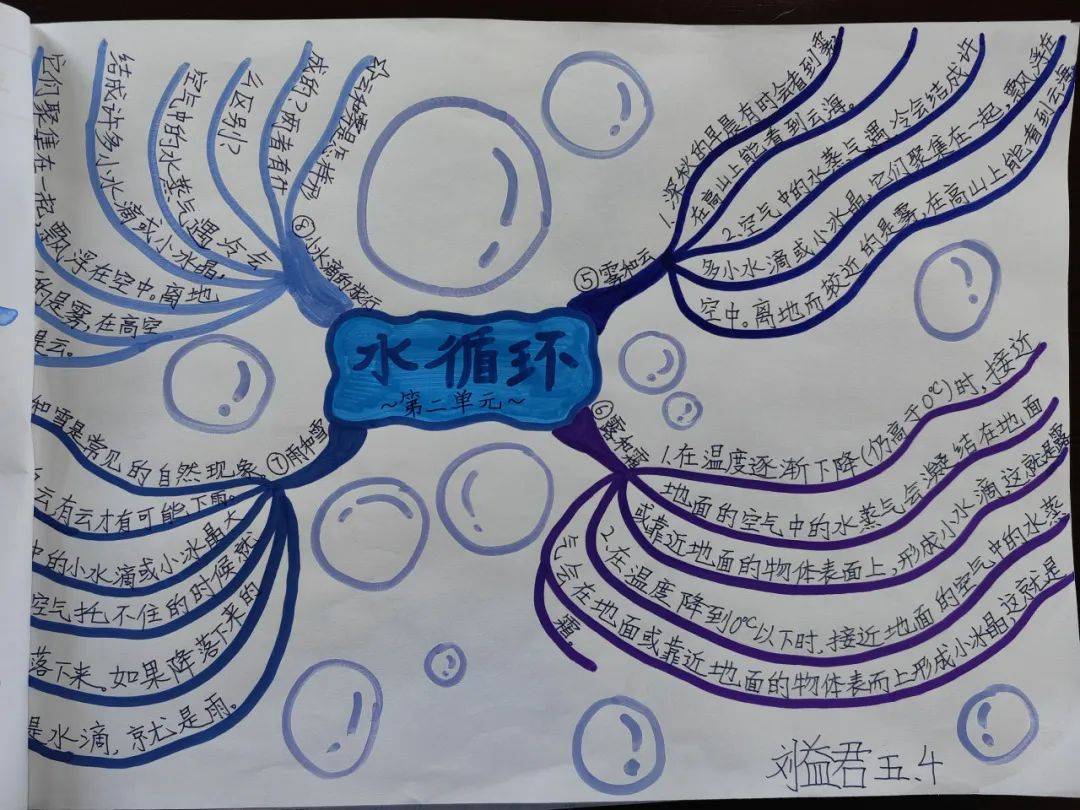 互动作业互动作业，构建高效学习环境的利器