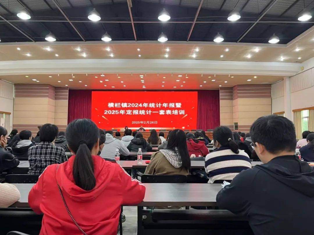 小丽君统计器2025小丽君统计器，数据分析的利器