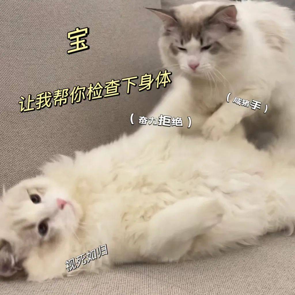 污小世界