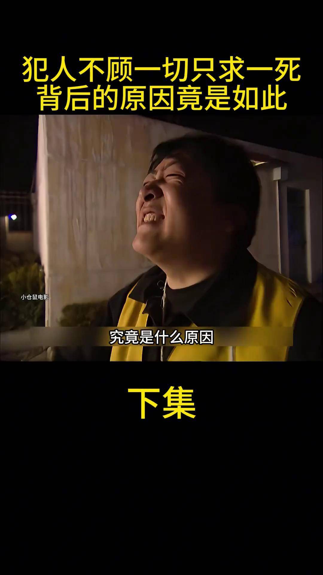 陌陌影视在线观看免费，探索免费影视的无限可能