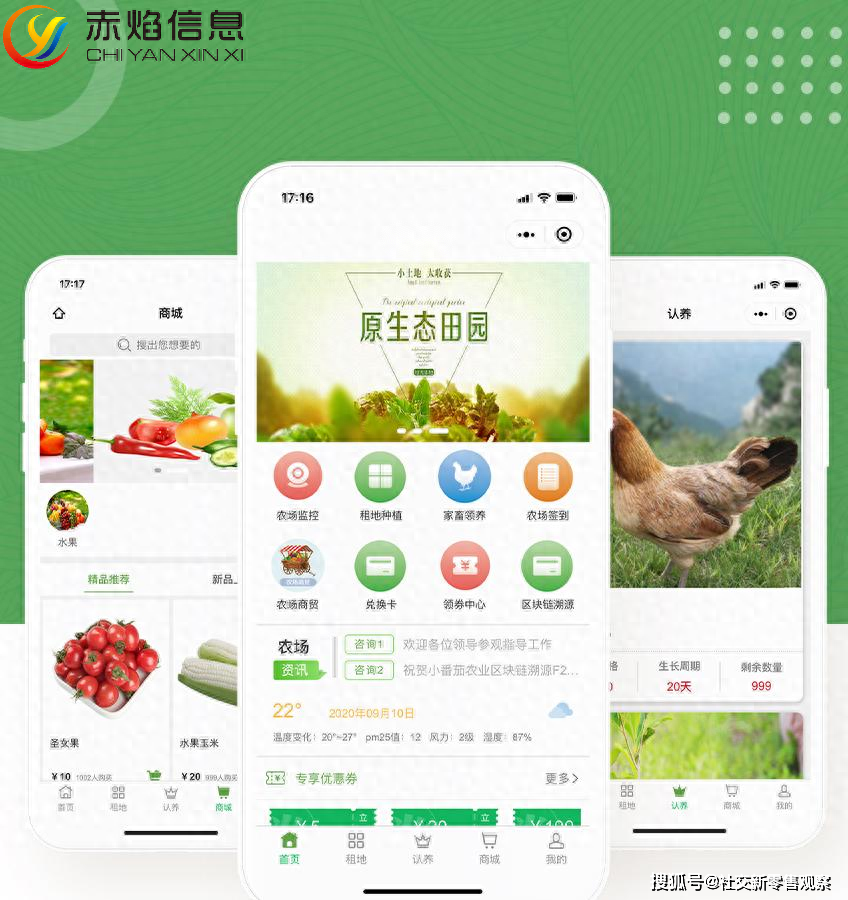 种子在线，开启智慧农业新篇章-第2张图片