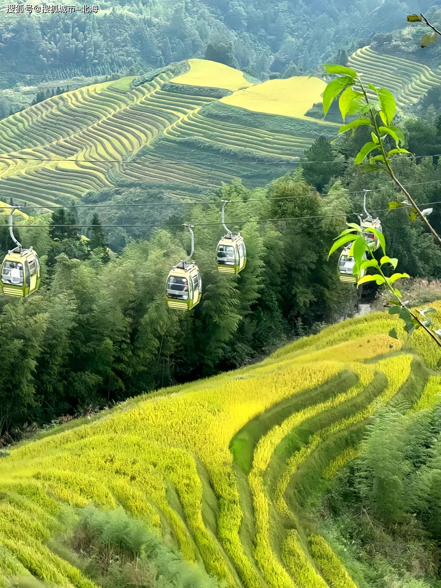 金华旅游团之旅，探索美丽山水与文化古迹