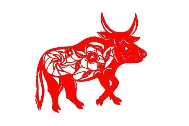2025港彩开奖结果查询今天最新香港开奖结果揭晓，揭秘幸运时刻