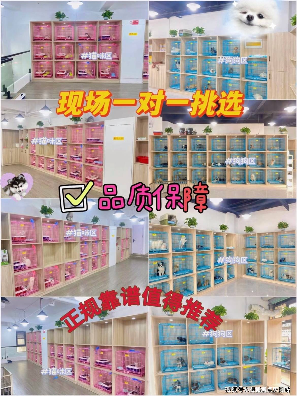 日本年轻护士Tube，专业与热情并存的护理新星