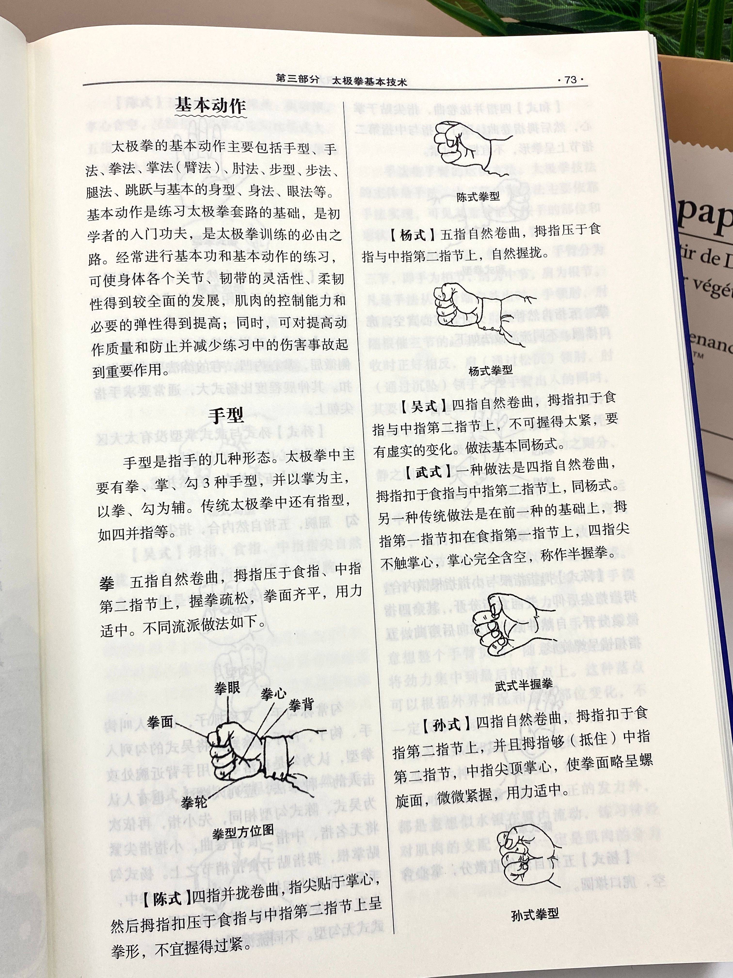四十人式太极拳背向演练带口令四十人式，多元融合的团队力量-第2张图片