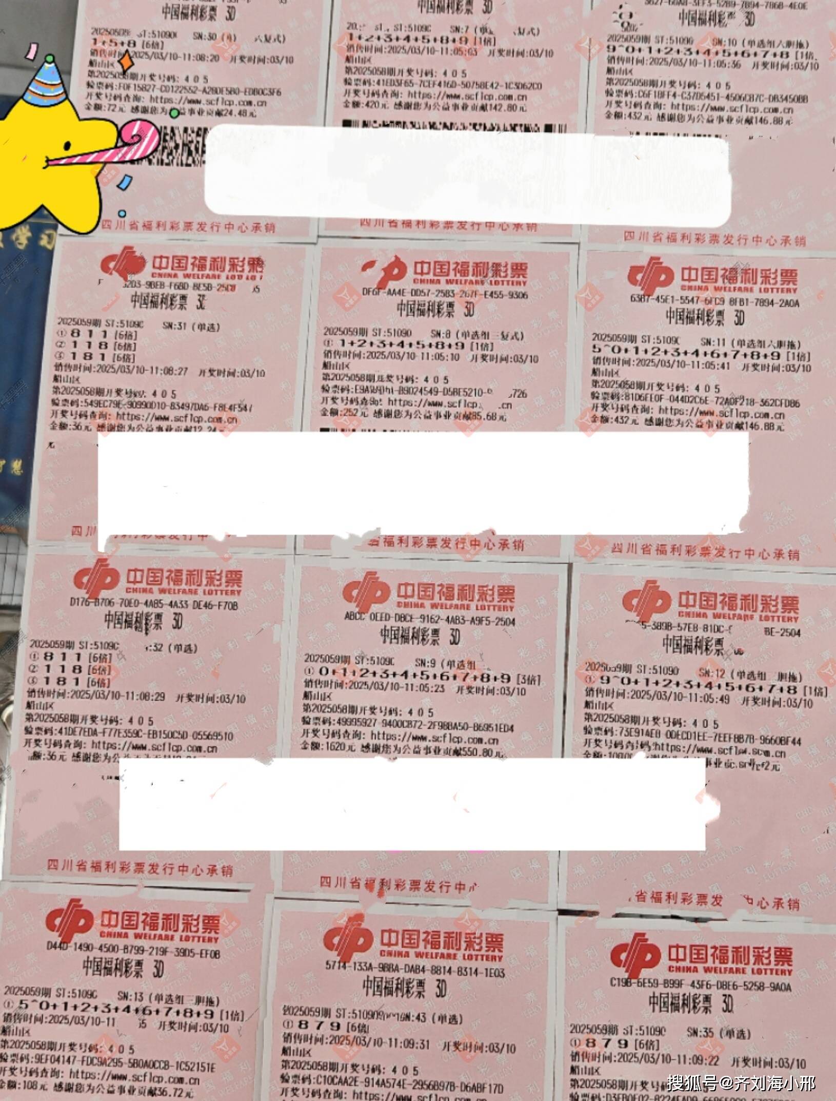 中国福利彩票3D，福彩之谜与乐趣