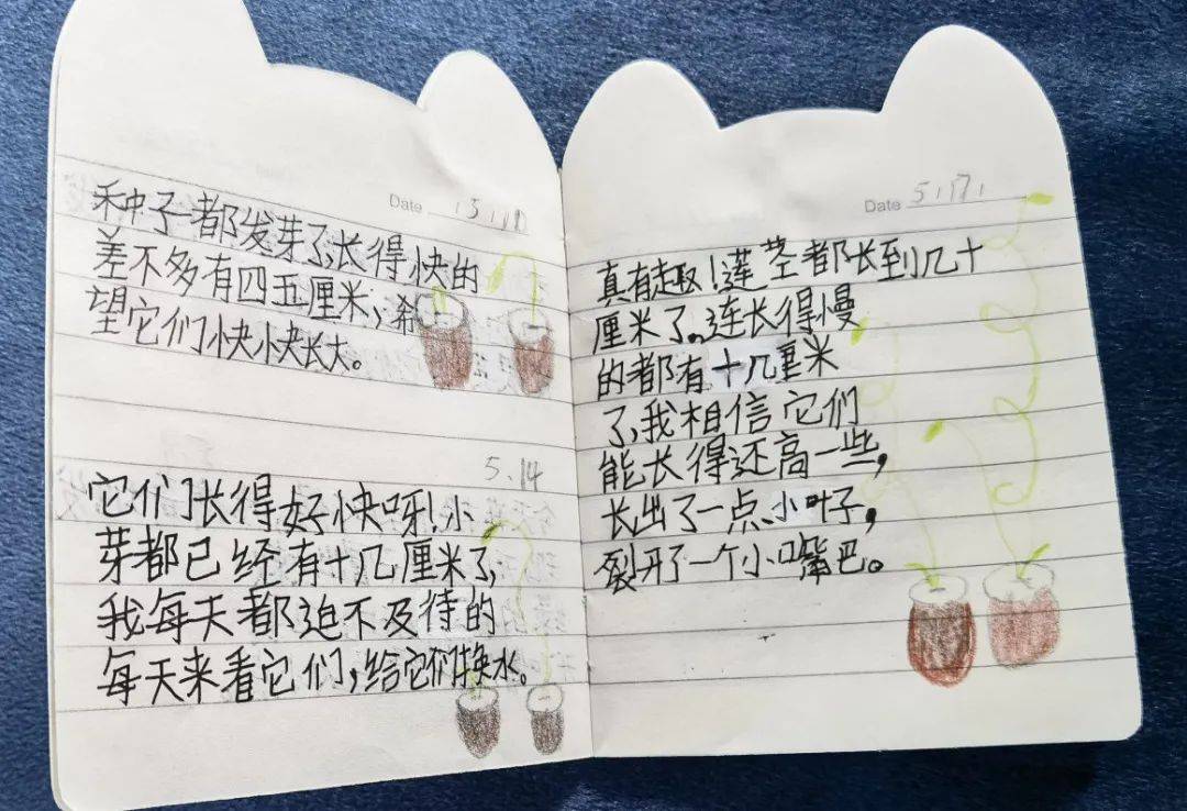 欢乐农庄之旅
