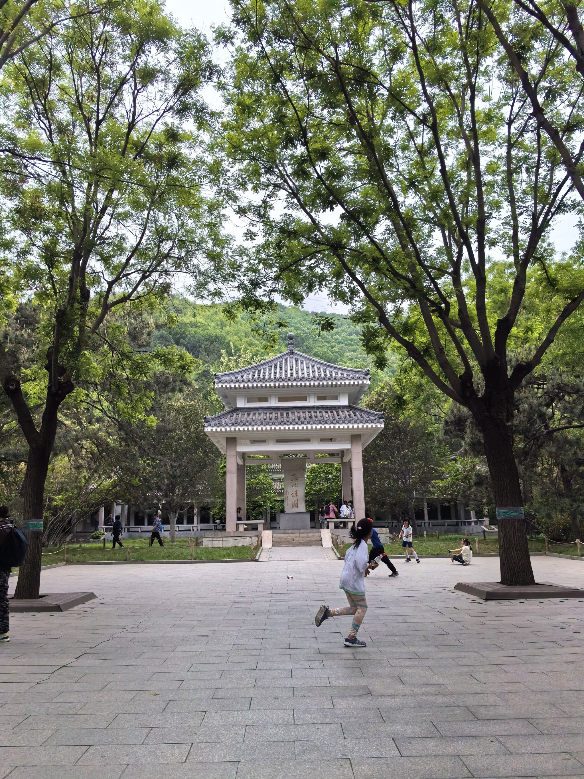 公园小树中老年交易图片应用场景微信公园小树中老年交易图片-第1张图片