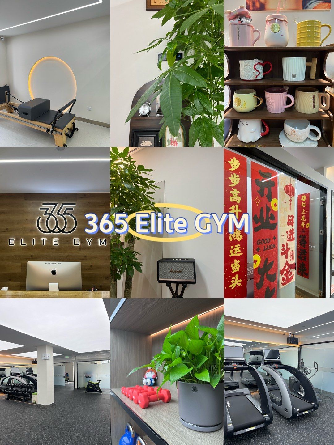 365每一天论坛，探索无限可能